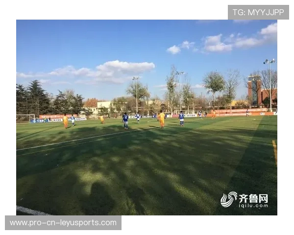 布加勒斯特拟在城市范围内推广业余足球联赛扩大基数